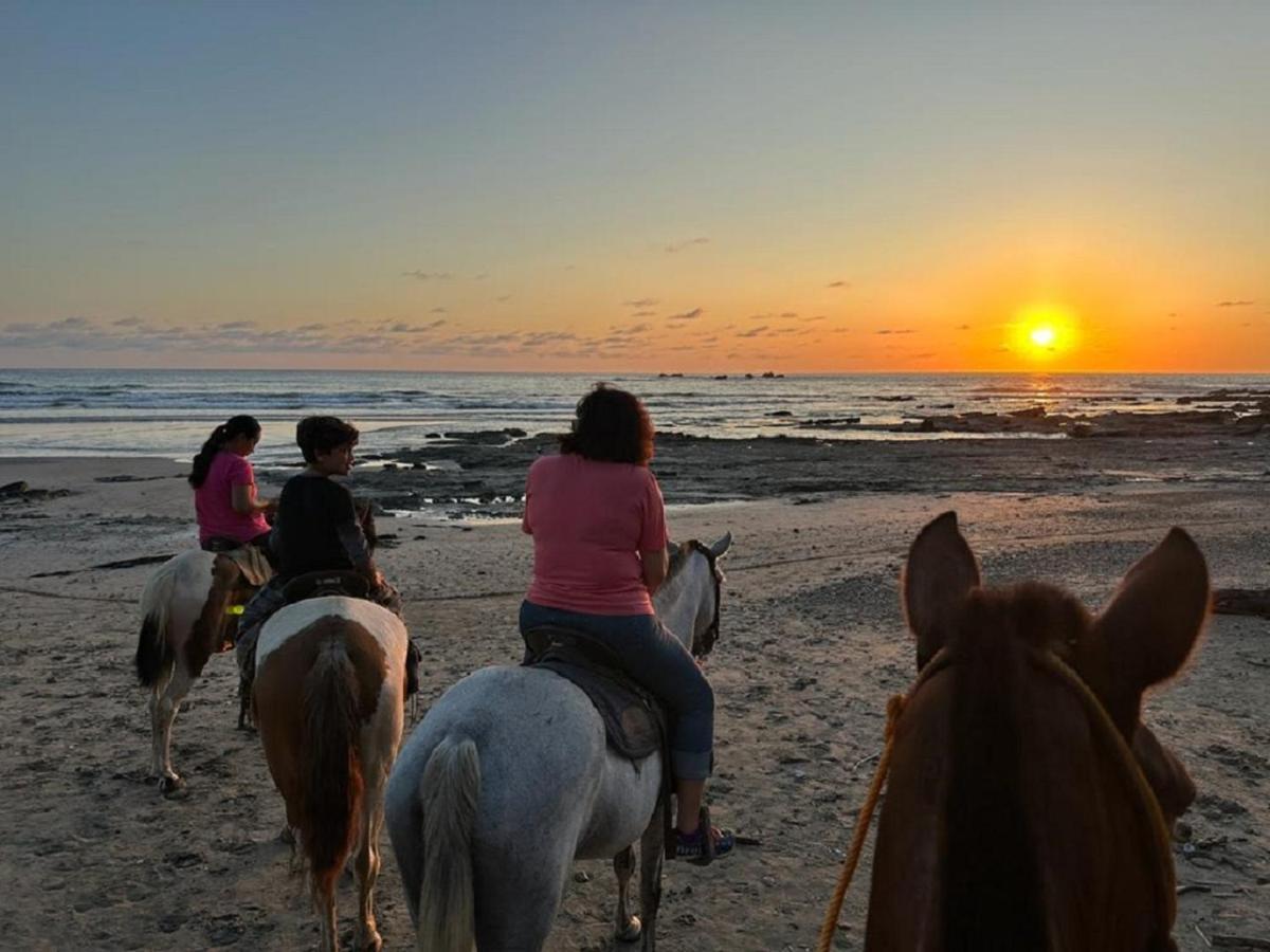 Casa Vitality Bed And Breakfast - Playa Guiones, Nosara - 4 Minute Walk To The Beach Eksteriør billede